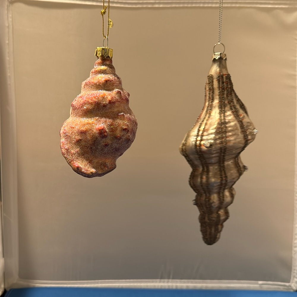 Morawski shell ornaments